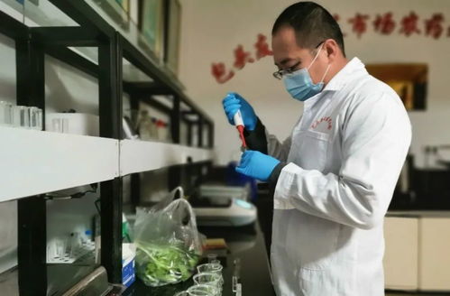 今日食用農產品檢測結果公示丨吃雞肉會致癌？雞肉還能不能吃了