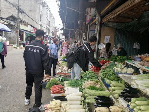 守護(hù)舌尖安全，越西縣全面展開(kāi)2021年度食品與食用農(nóng)產(chǎn)品質(zhì)量抽檢工作