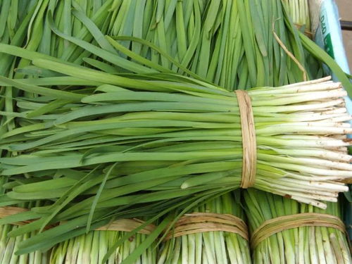 膠州人注意 韭菜買(mǎi)賣(mài)出新規(guī)，違規(guī)最高可罰20萬(wàn)，農(nóng)產(chǎn)品安全再升級(jí)